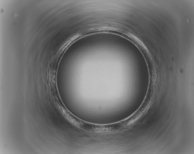 X0000085290793200703231831