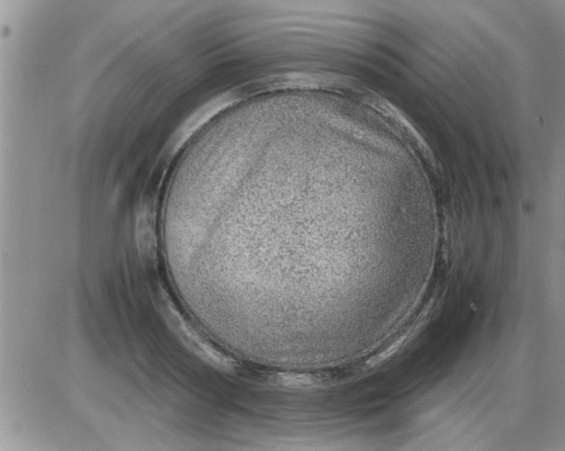 X0000085290794200703231831