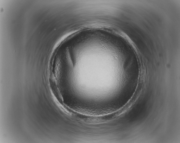 X0000085290795200703231831