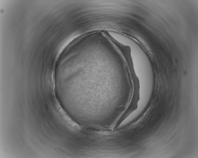 X0000085290796200703231831