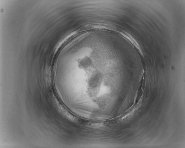 X0000085290798200703231831