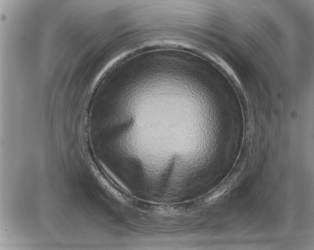 X0000085290799200703231831