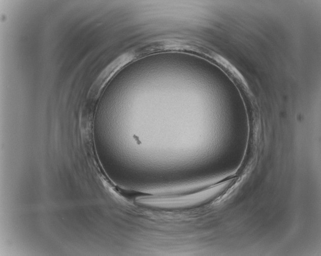 X0000085290801200703231831