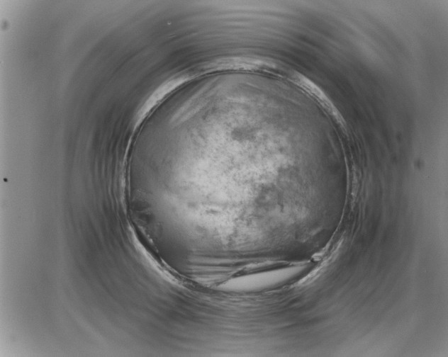 X0000085290802200703231831