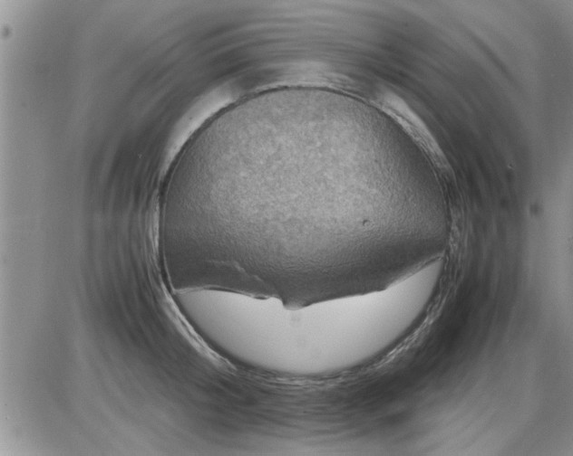 X0000085290804200703231831