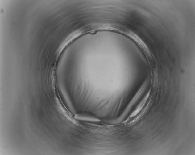 X0000085290806200703231831