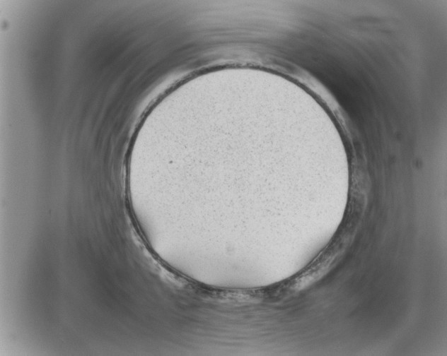 X0000085290807200703231831