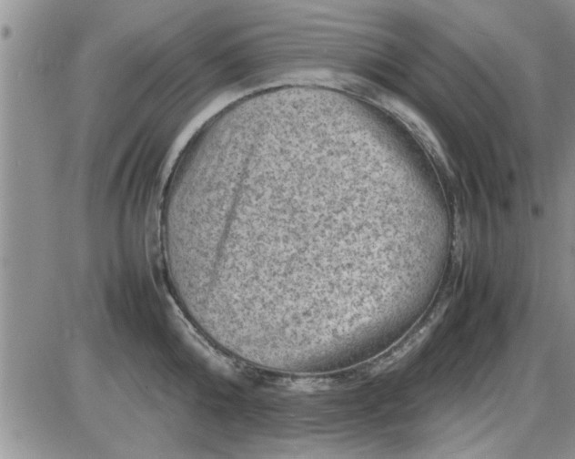 X0000085290808200703231831