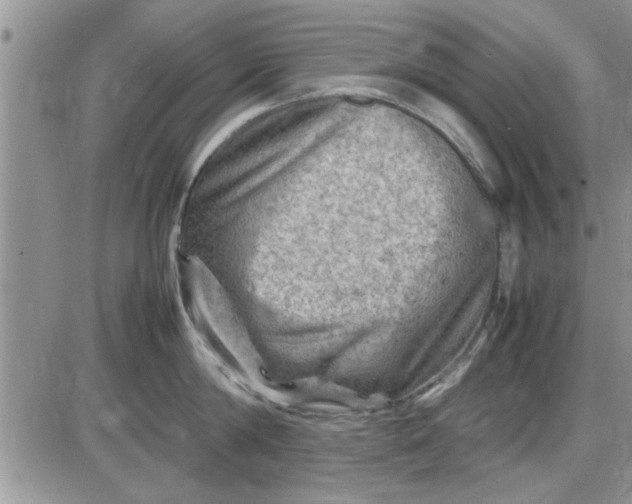 X0000085290814200703231831