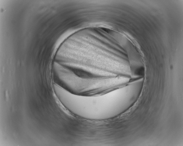 X0000085290816200703231831