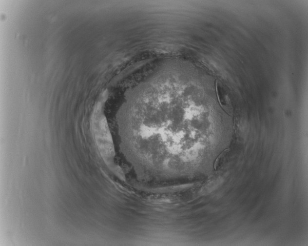 X0000085290817200703231830