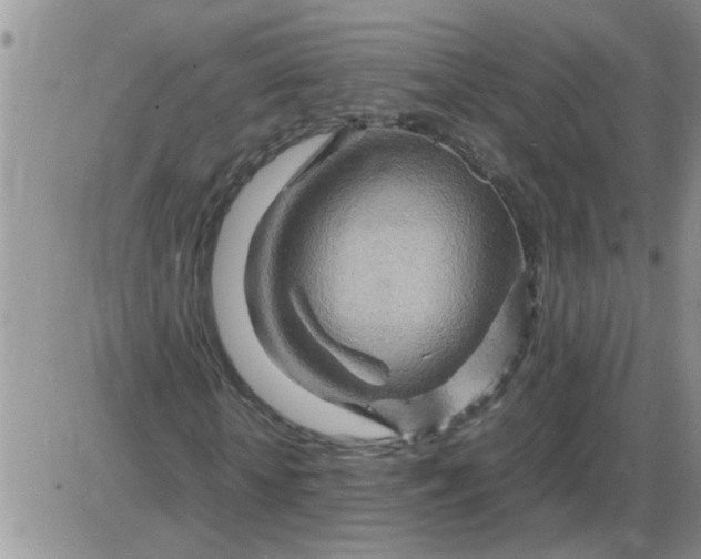 X0000085290818200703231830