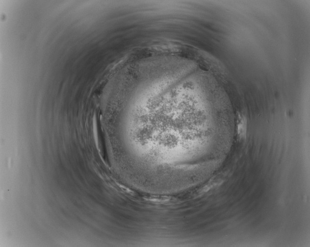 X0000085290819200703231830