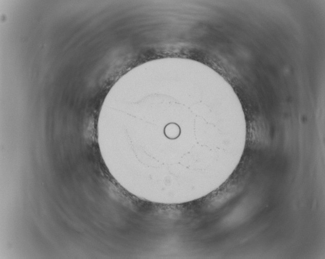 X0000085290820200703231830