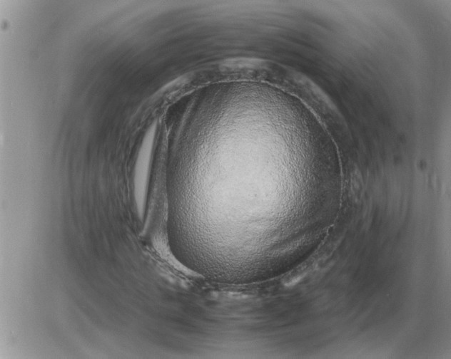 X0000085290821200703231830