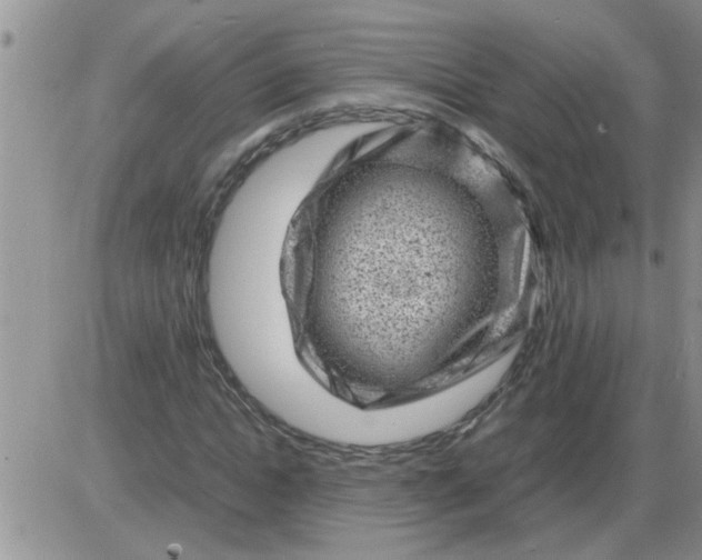 X0000085290822200703231830