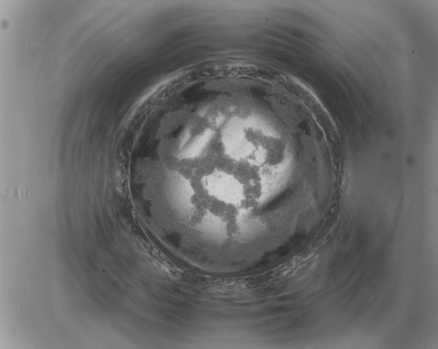 X0000085290823200703231830