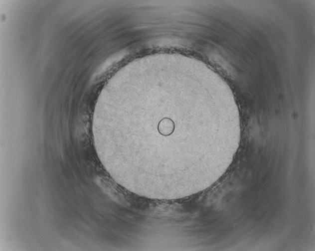 X0000085290824200703231830