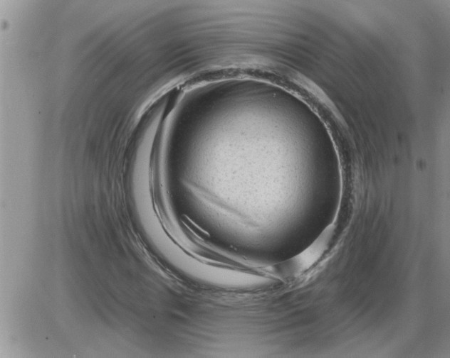 X0000085290826200703231830