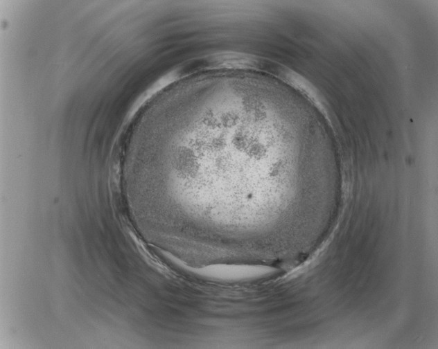 X0000085290827200703231830