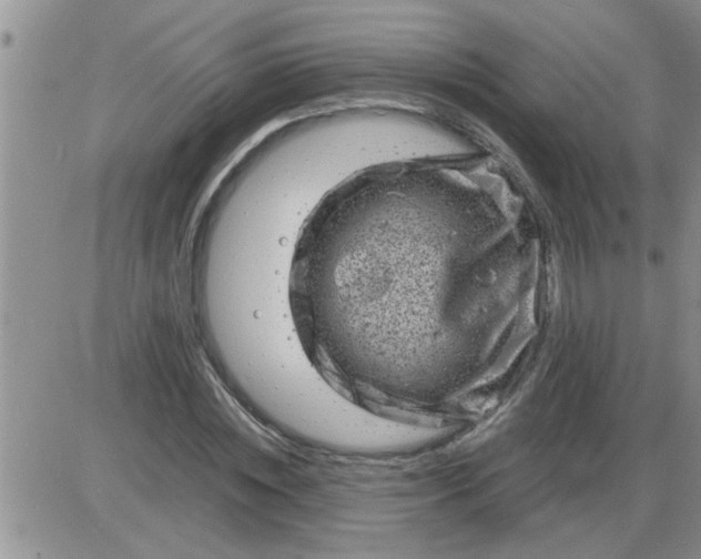 X0000085290828200703231830