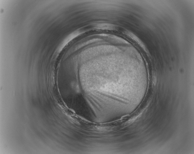 X0000085290829200703231830