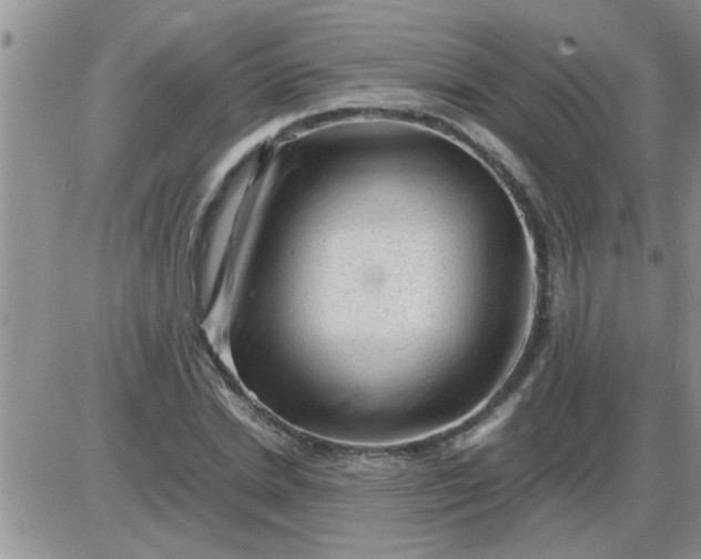 X0000085290830200703231830