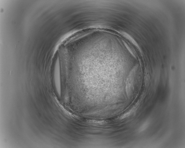 X0000085290831200703231830