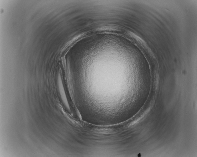 X0000085290833200703231830