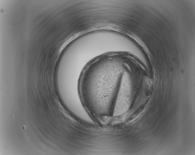 X0000085290834200703231830