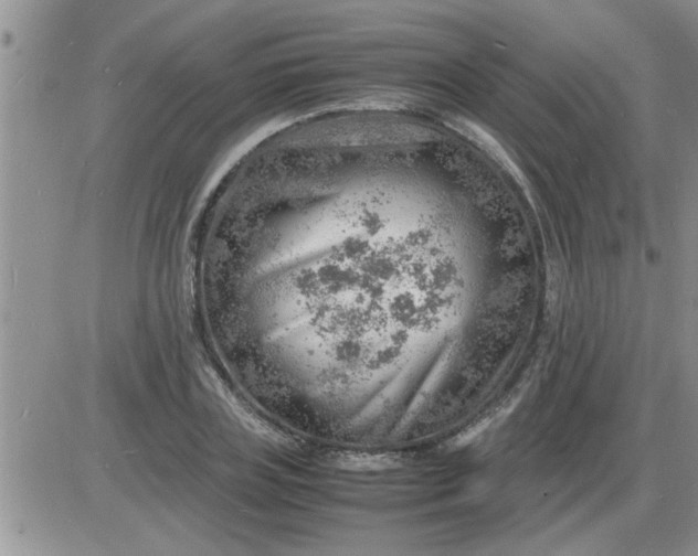 X0000085290835200703231830