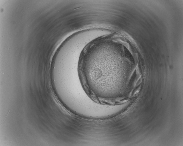 X0000085290836200703231830