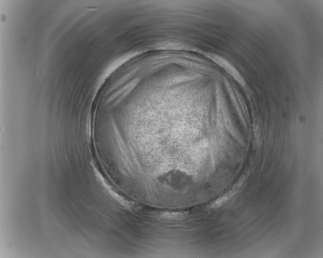 X0000085290839200703231831