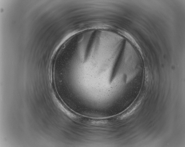 X0000085290843200703231831