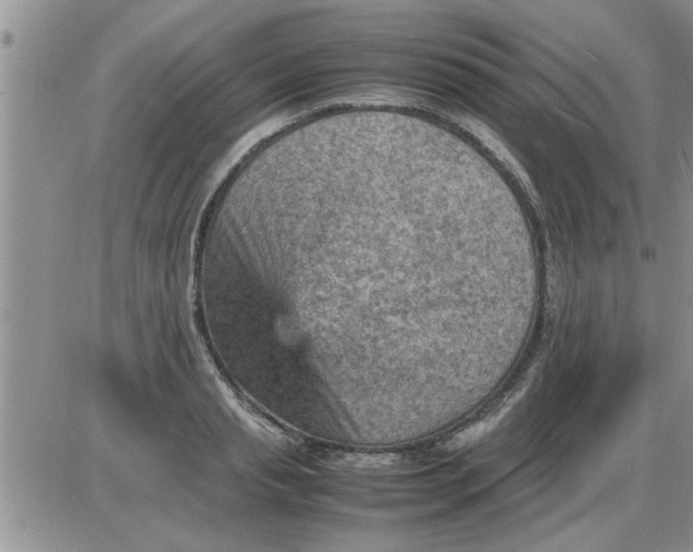 X0000085290845200703231831