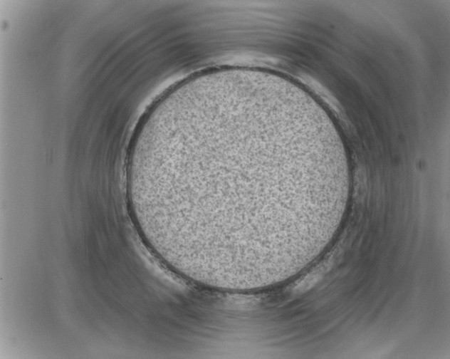 X0000085290848200703231831