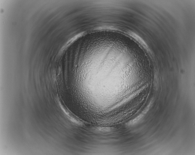 X0000085290849200703231831