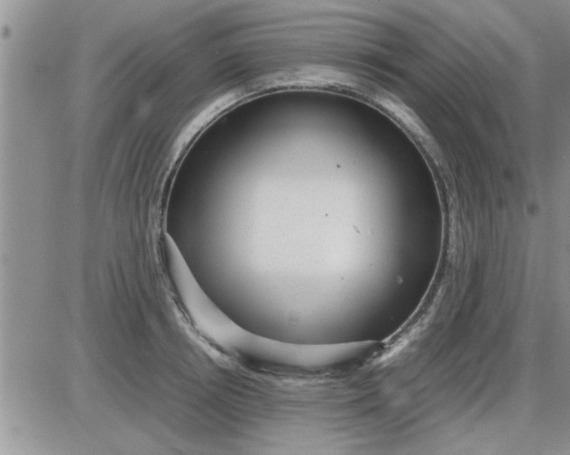 X0000085290850200703231831