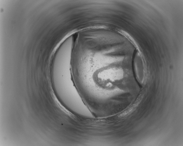 X0000085290851200703231831