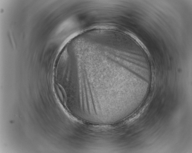 X0000085290853200703231831