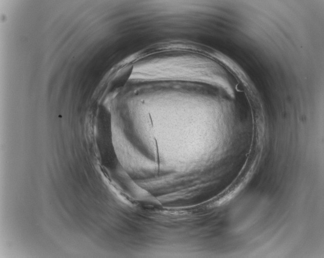 X0000085290857200703231831