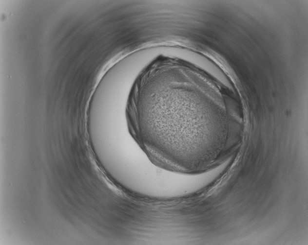 X0000085290858200703231831