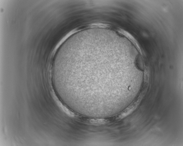 X0000085290859200703231831