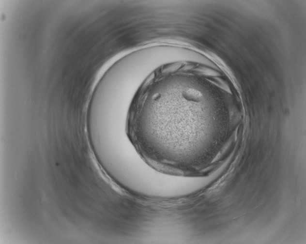 X0000085290862200703231831