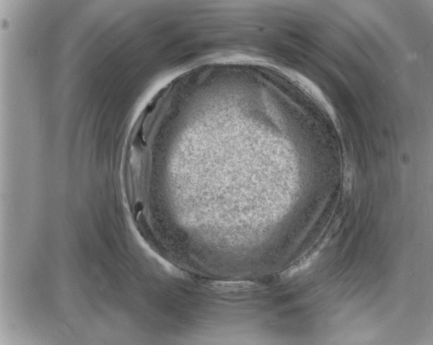 X0000085290863200703231831