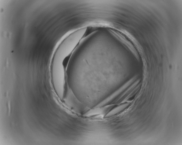 X0000085290864200703231831