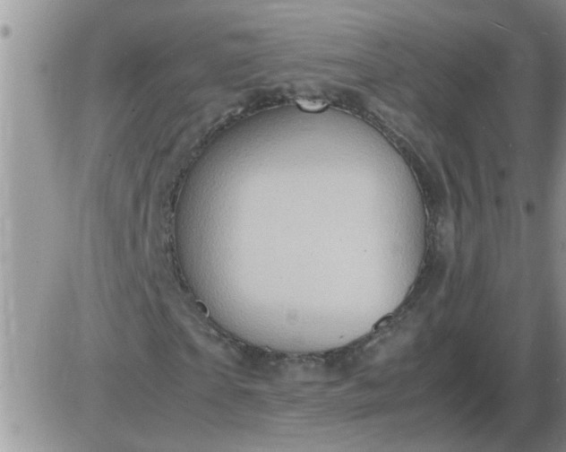 X0000085290865200703231830