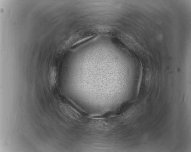 X0000085290866200703231830