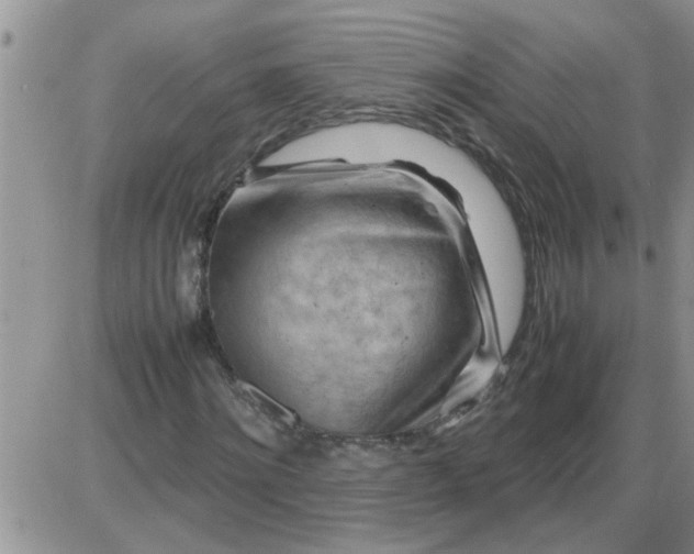 X0000085290868200703231830