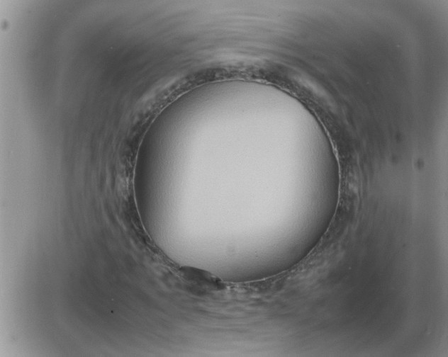 X0000085290869200703231830